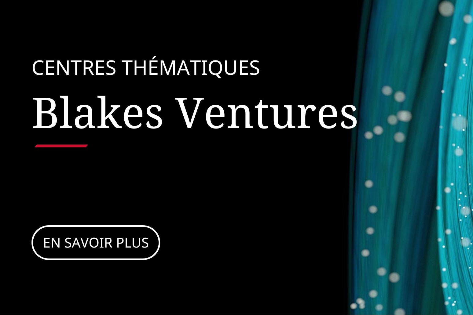 Image centre thématique Blakes Ventures
